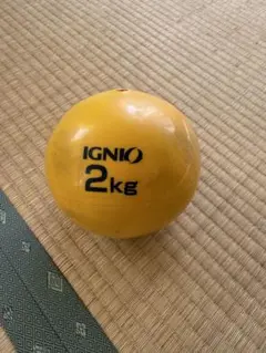 IGNIO 2kg エクササイズボール