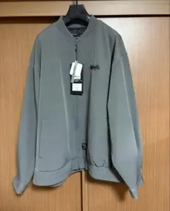 Item thumbnail for item 9d3a9952-4def-4aeb-ab29-2a1eb6a0647e