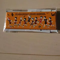 ハイキュー!! 烏野高校 缶バッジ