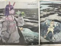 FGO 10周年　新聞広告　宮崎　8/17.18分