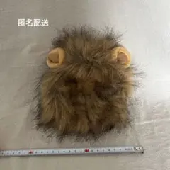 Item thumbnail for item 07246cc9-dfb9-4b07-a7ac-782d5be2ee8e