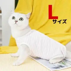 Item thumbnail for item e836a3a4-dfda-42a6-b56a-1bd47cb56546