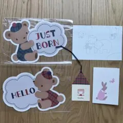 just born hello ニューボーンフォトカードセット　ファミリア