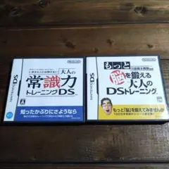 大人の常識力トレーニングDS 2本セット