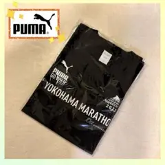 Item thumbnail for item 734336c8-7e76-4ac9-a8b8-22ac1056c71e