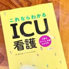 これならわかるICU看護 照林社