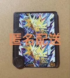 サンダー ポケモン フレンダ