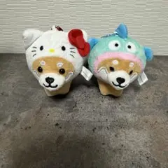旅するマメしば　サンリオ　まめた　コラボ