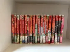 私たちはどうかしている 漫画 17巻まで