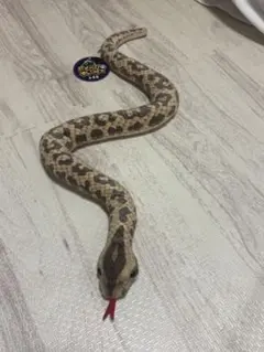 ヘビ ぬいぐるみ どくへびギャングス