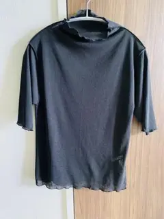 Ray Cassin レイカズン 半袖　シアー　トップス　カットソー　ハイネック