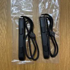 任天堂 Switch Joy-Con ストラップ 2個