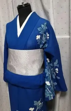 夏着物 単衣 絽 生絹 訪問着　群青色地に枝花柄