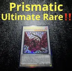 遊戯王【英語版】コアキメイル・グラヴィローズ 1st レリーフ❗️ 2025年最新】ブラックローズドラゴン レリーフ 英語の人気