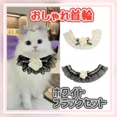 Item thumbnail for item ad65f820-c70f-4d05-81fa-feec697f9a51