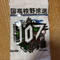 第107回全国高校野球選手権大会記念
