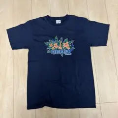 【ヴィンテージ】 90s HINANO tahiti Tシャツ アメリカ製 M