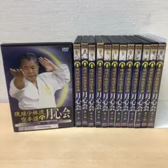 専用 M1109A 琉球少林流空手道 月心会 第一巻〜十三巻 DVD 13本 2025年最新】月心会 空手の人気アイテム - メルカリ