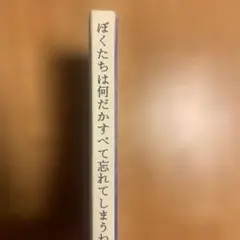 ぼくたちは何だかすべて忘れてしまうね