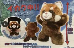 レッサーパンダ　ぬいぐるみ