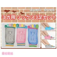 Item thumbnail for item df80238b-7574-4984-bc82-a064e4d9dfb0