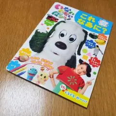 いないいないばあっ! 「これ なあに?」