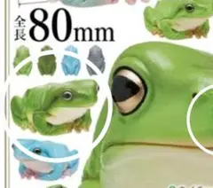 カエルフィギュア 80mm 緑・青