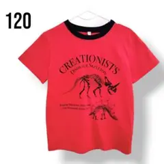 恐竜 骨格 Tシャツ 120 レッド 赤 トップス 男の子 ディノサウルス
