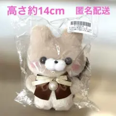 すくっとたっちさん ~てでぃせれくしょん2~くまさん（まほがにー）ぬいぐるみ