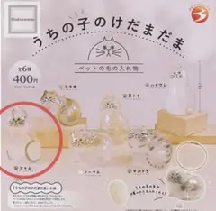 うちの子のけだまだま シャム 正規品