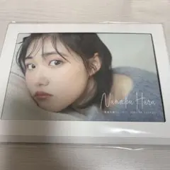 在庫残り僅か 原菜乃華カレンダー 2025.04-2026.03 未開封