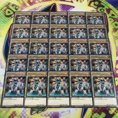17187 ライドロン 25枚 ノーパラ ノーマル