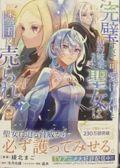 完璧すぎて可愛げがないと婚約破棄された聖女は隣国に売られる 7
