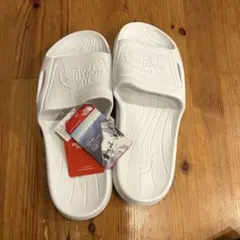 Item thumbnail for item 73aacc78-7c83-415a-adc9-b8168eebba36