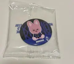 チャンビン　straykids スキズ　KARMA ポップアップ　ミラー非売品