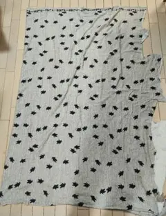 クマ柄　生地