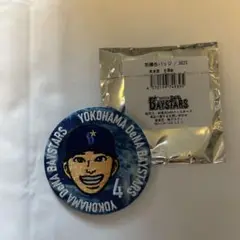 横浜DeNAベイスターズ　#4 度会