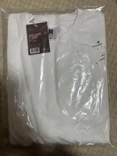 Item thumbnail for item e3563f26-9272-4a04-8fae-a5b7ff074901