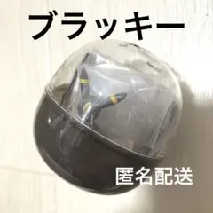 【新品】いうことを きかない！ ブラッキー　ポケモン　ガチャ