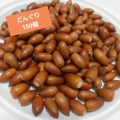 Item thumbnail for item 369186ca-6efa-4490-8025-946ce5d285b7