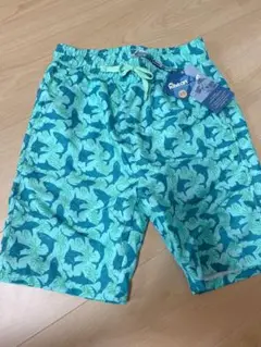 Item thumbnail for item db814829-f7a7-425b-8023-18b630191212