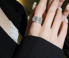 網目 至高 シルバーリング 【フリーサイズ】ロイヤル 美しい 中空デザイン 高級