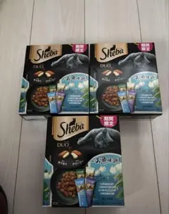 Item thumbnail for item ca1d5c64-43dd-4eed-a208-2332c7894fa2