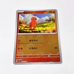 【まとめ買いでおまけ付き】ヒトカゲ モンボ ミラー仕様