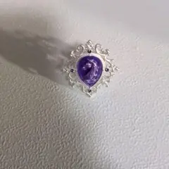 アクシーズファム ナイトリング
