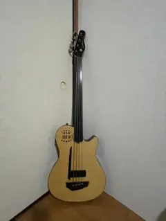 GODIN A4 ultra fretless