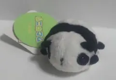 ムニュマム　パンダ