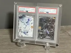 【新品未使用】PSA鑑定品 連番ディスプレイケース