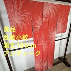 Item thumbnail for item b6c7f05a-315a-47d6-98b3-336a5cbed562