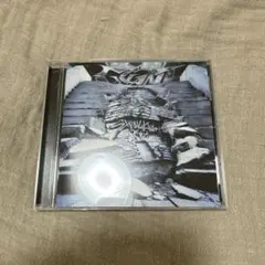 straykids スキズ GIANT 通常盤 CD 開封済み アルバム